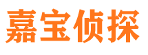 东洲捉小三公司